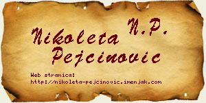 Nikoleta Pejčinović vizit kartica